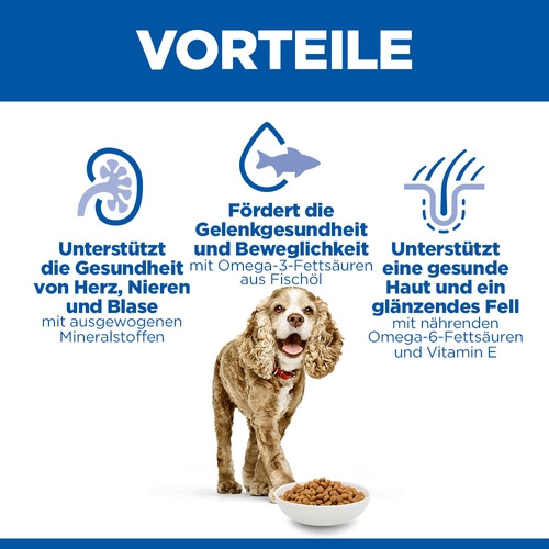 Hill's Senior Small & Mini Huhn Hundefutter