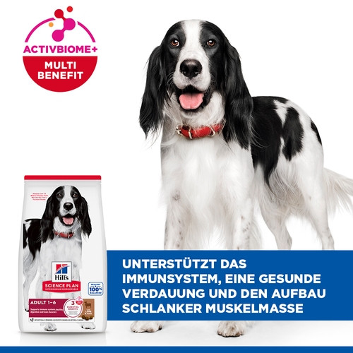 Hill's Adult Medium Lamm & Reis Hundefutter