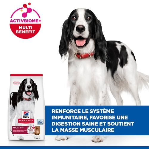 Hill's Adult Medium à l’agneau et riz pour chien