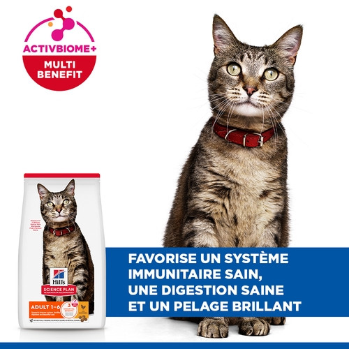 Hill's Adult au poulet pour chat