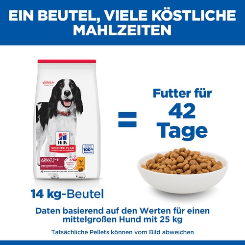 Hill's Adult Medium Huhn Hundefutter
