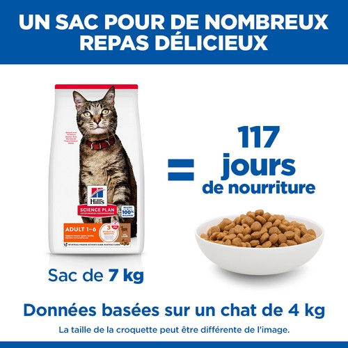 Hill's Adult Optimal Care Lamm Katzenfutter 