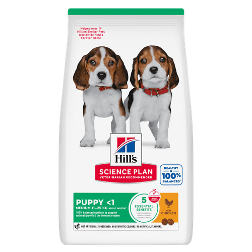 Hill's Puppy Medium mit Huhn Hundefutter
