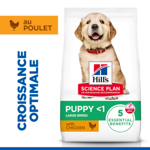 Hill's Puppy Large au poulet pour chiot