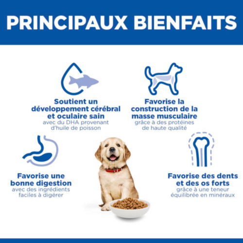 Hill's Puppy Large au poulet pour chiot