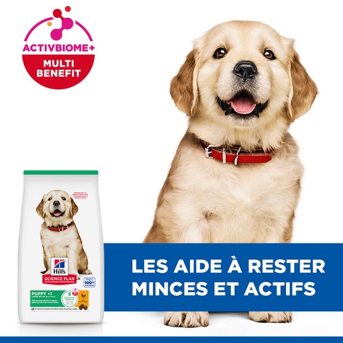 Hill's Puppy Large au poulet pour chiot