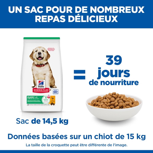 Hill's Puppy Large au poulet pour chiot