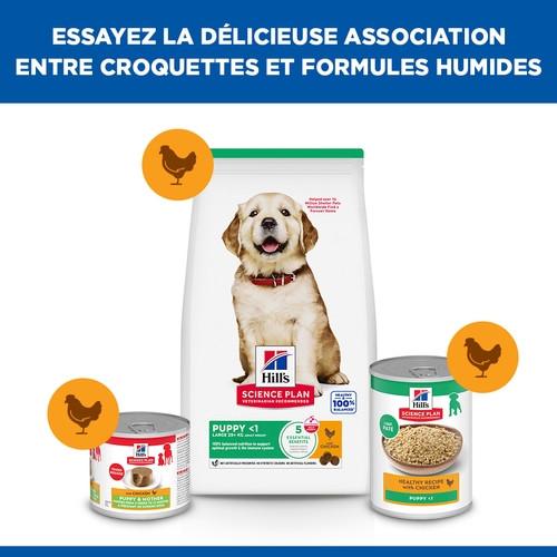 Hill's Puppy Large au poulet pour chiot