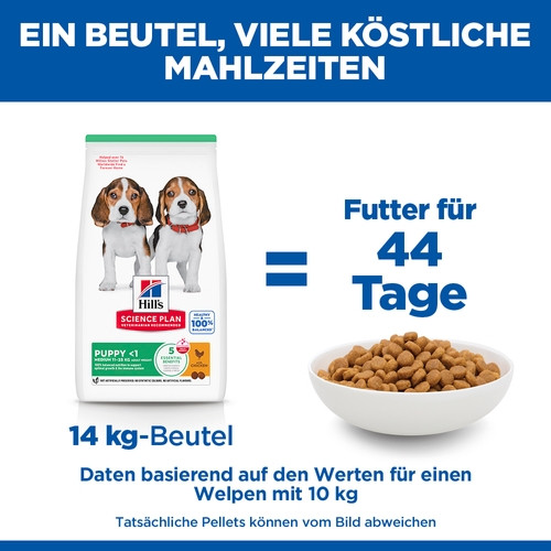 Hill's Puppy Medium mit Huhn Hundefutter