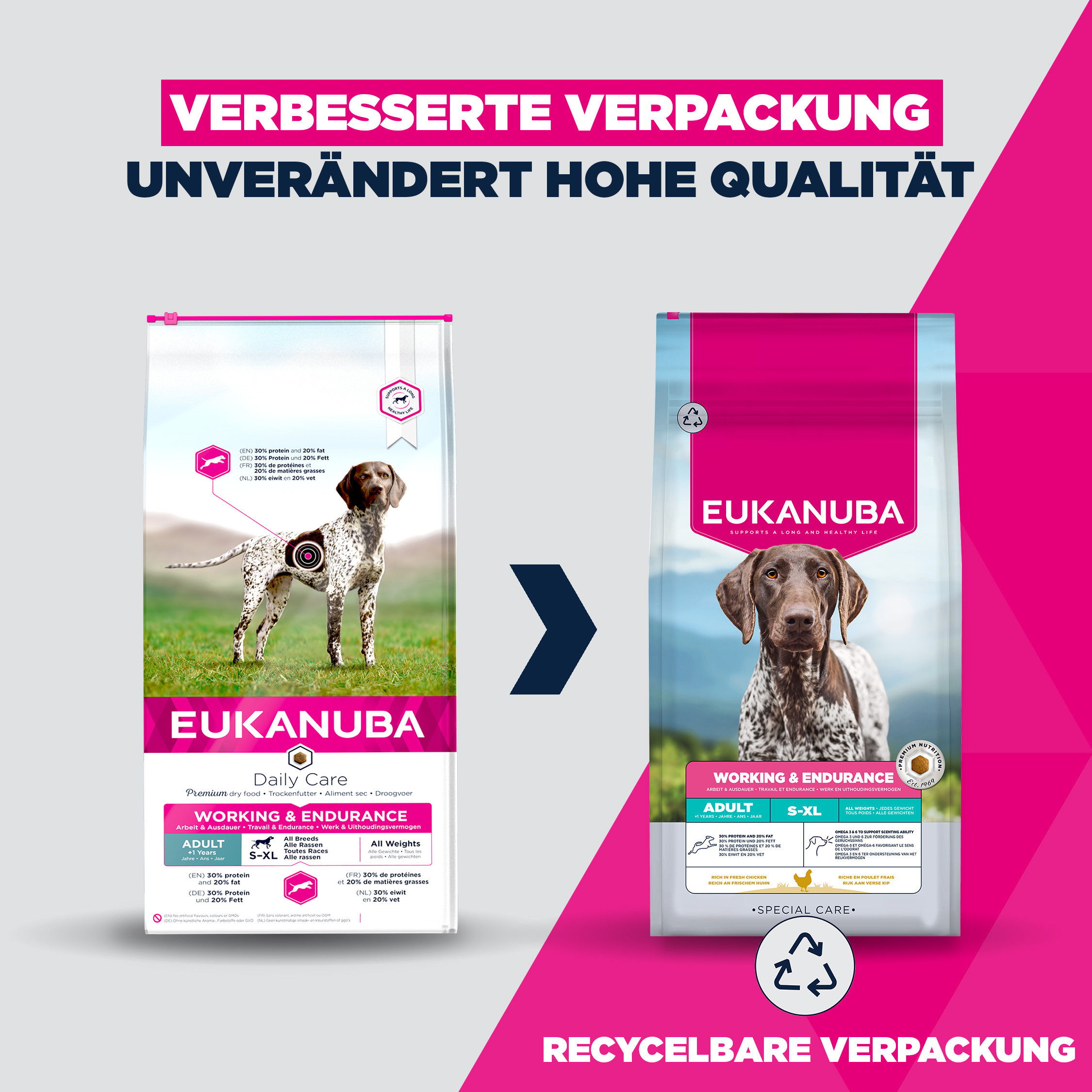 Eukanuba Adult Daily Care Leistung & Ausdauer Hundefutter