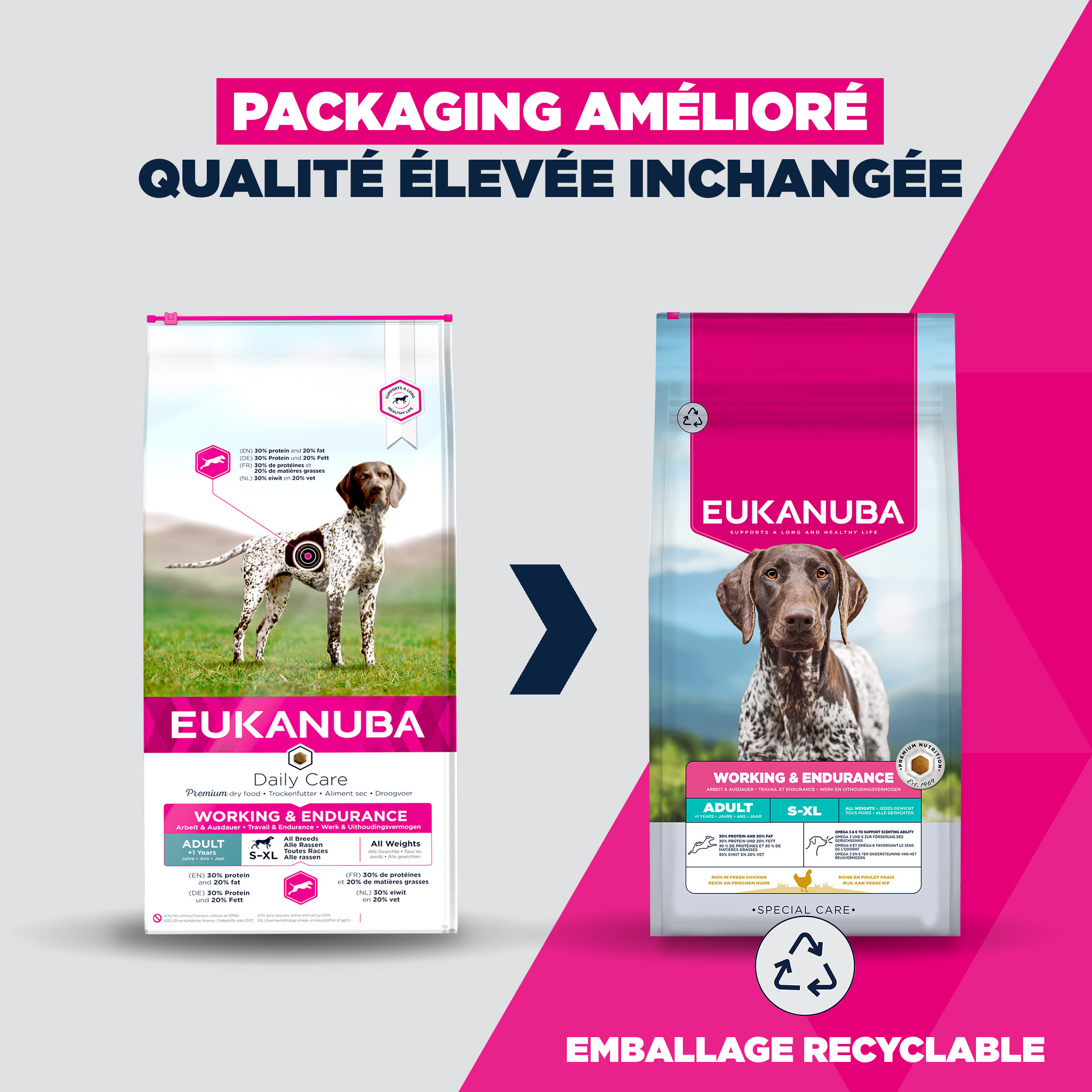 Eukanuba Adult Daily Care Working & Endurance pour chien