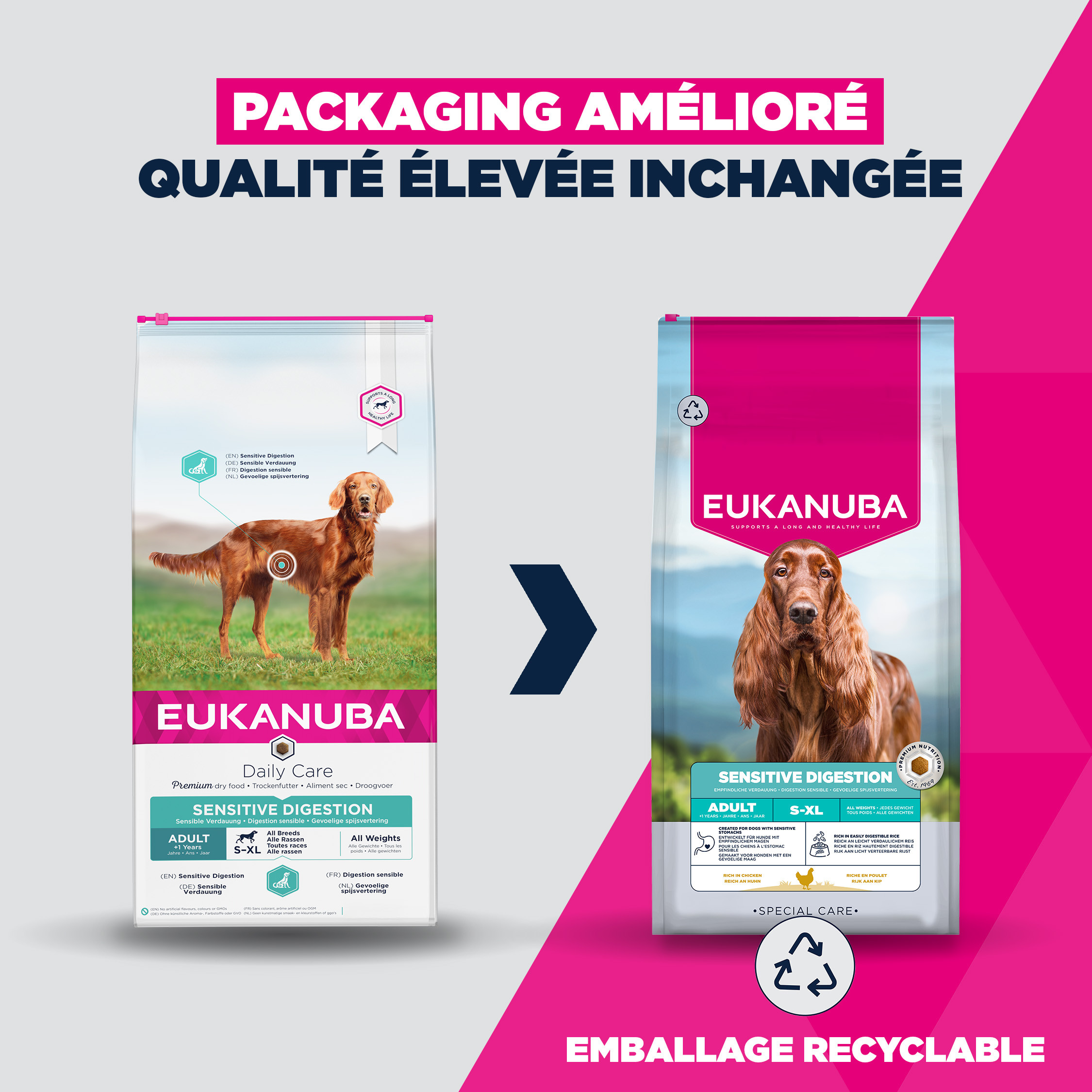Eukanuba Daily Care Adult Sensitive Digestion pour chien