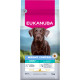 Eukanuba Adult Special Care Weight Control Large / Extra Large pour chien