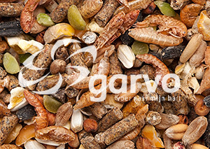 Garvo Alfamix Pride 2055 pour poules