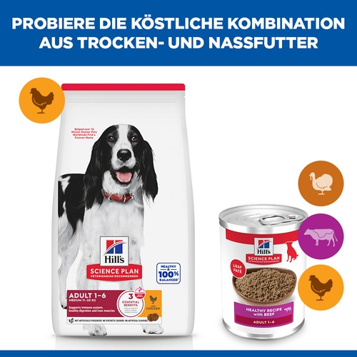 Hill's Adult Rind Hundefutter (in Dosen 370g)