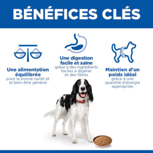 Hill's Adult pâtée pour chien à la dinde