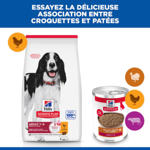 Hill's Adult pâtée pour chien à la dinde