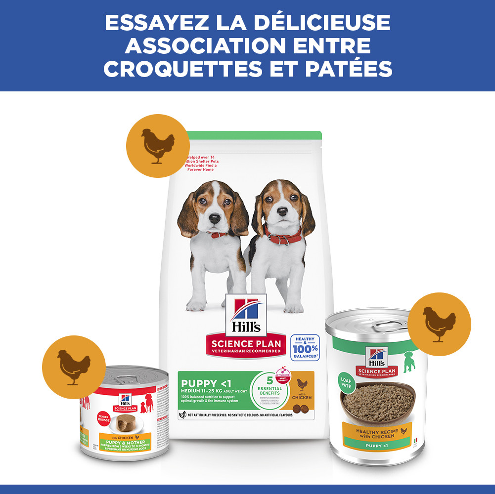 Hill's Puppy Healthy Development Huhn (in Dosen) Hundefutter 