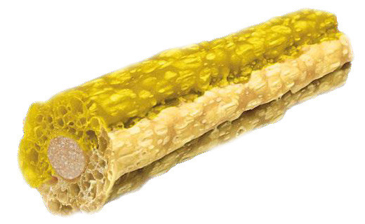 Knash Digestive Woofa Loofa Sticks met pompoen, gember en kokosolie hondensnack