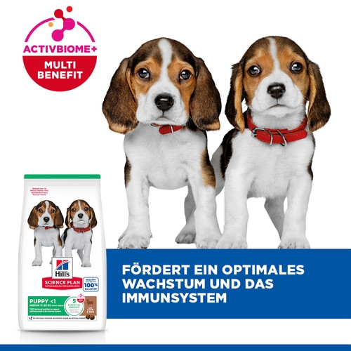 Hill's Puppy Medium Lamm & Reis Hundefutter