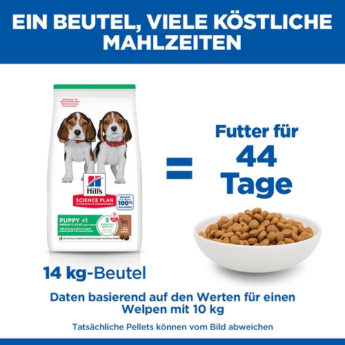 Hill's Puppy Medium Lamm & Reis Hundefutter