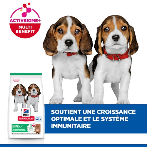 Hill's Puppy Healthy Development Lamm & Reis Hundefutter 