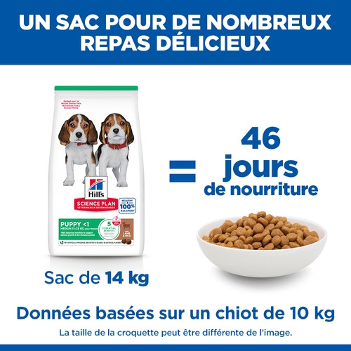 Hill's Puppy Healthy Development Lamm & Reis Hundefutter 
