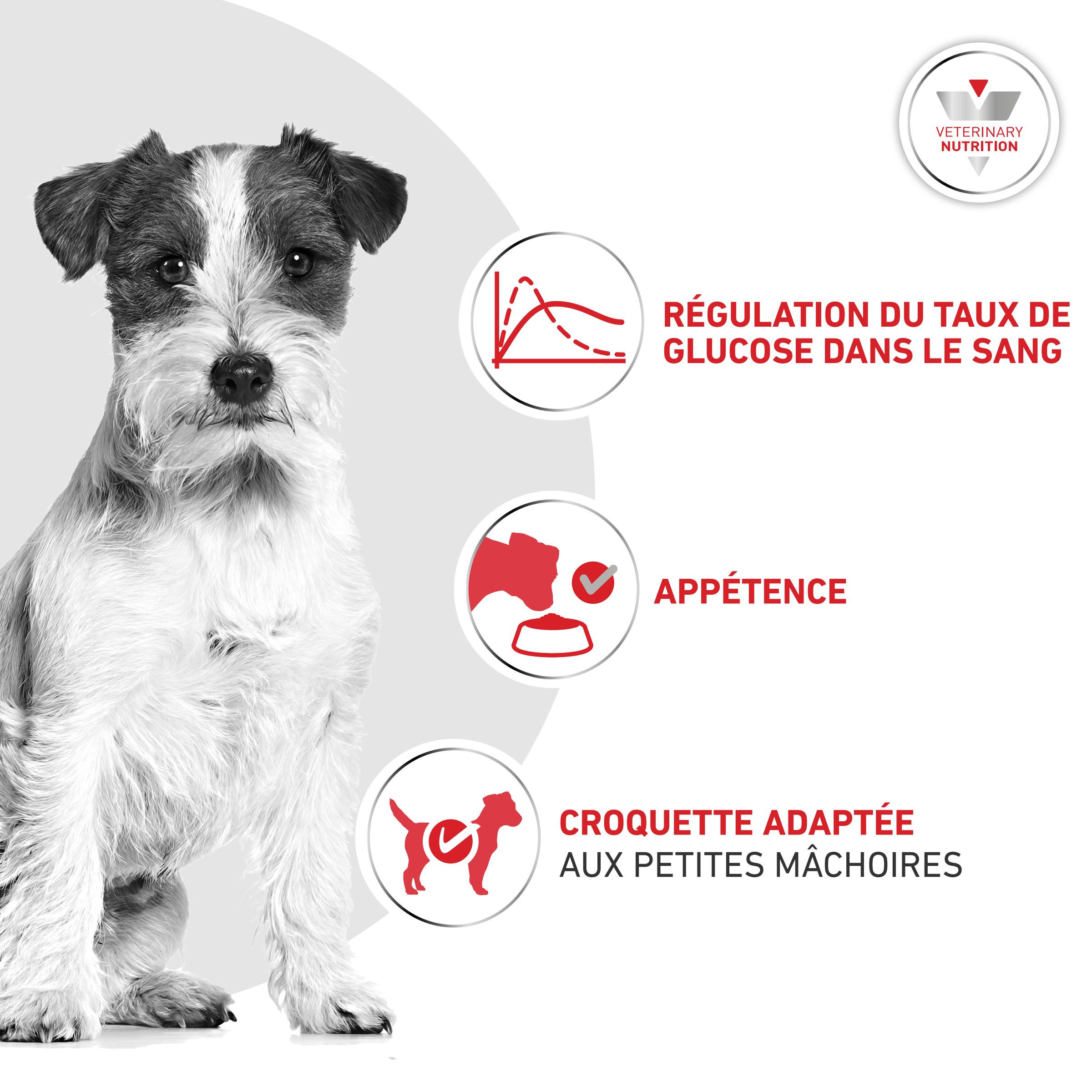 Royal Canin Veterinary Glycobalance hondenvoer