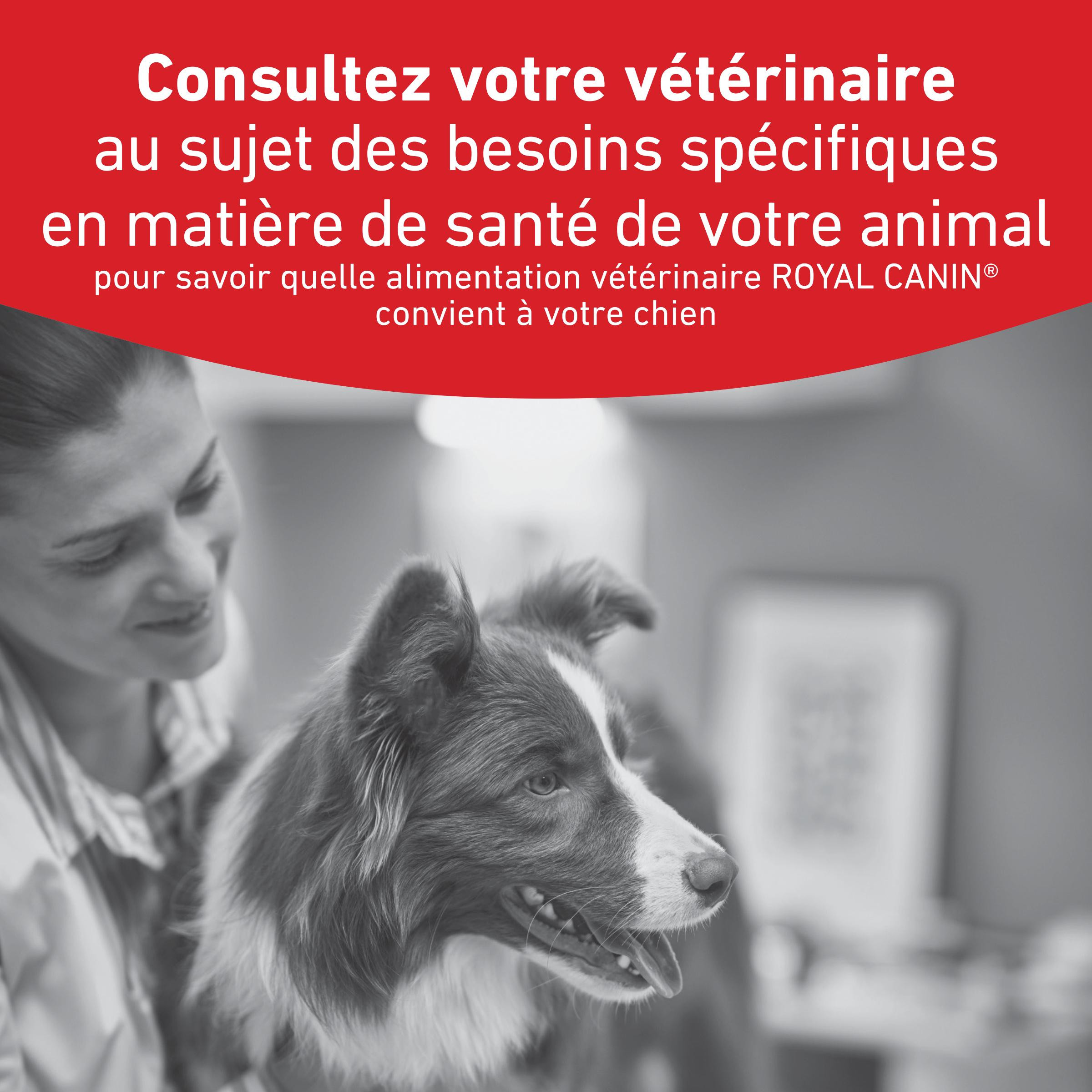 Royal Canin Veterinary Glycobalance natvoer hond (paté)