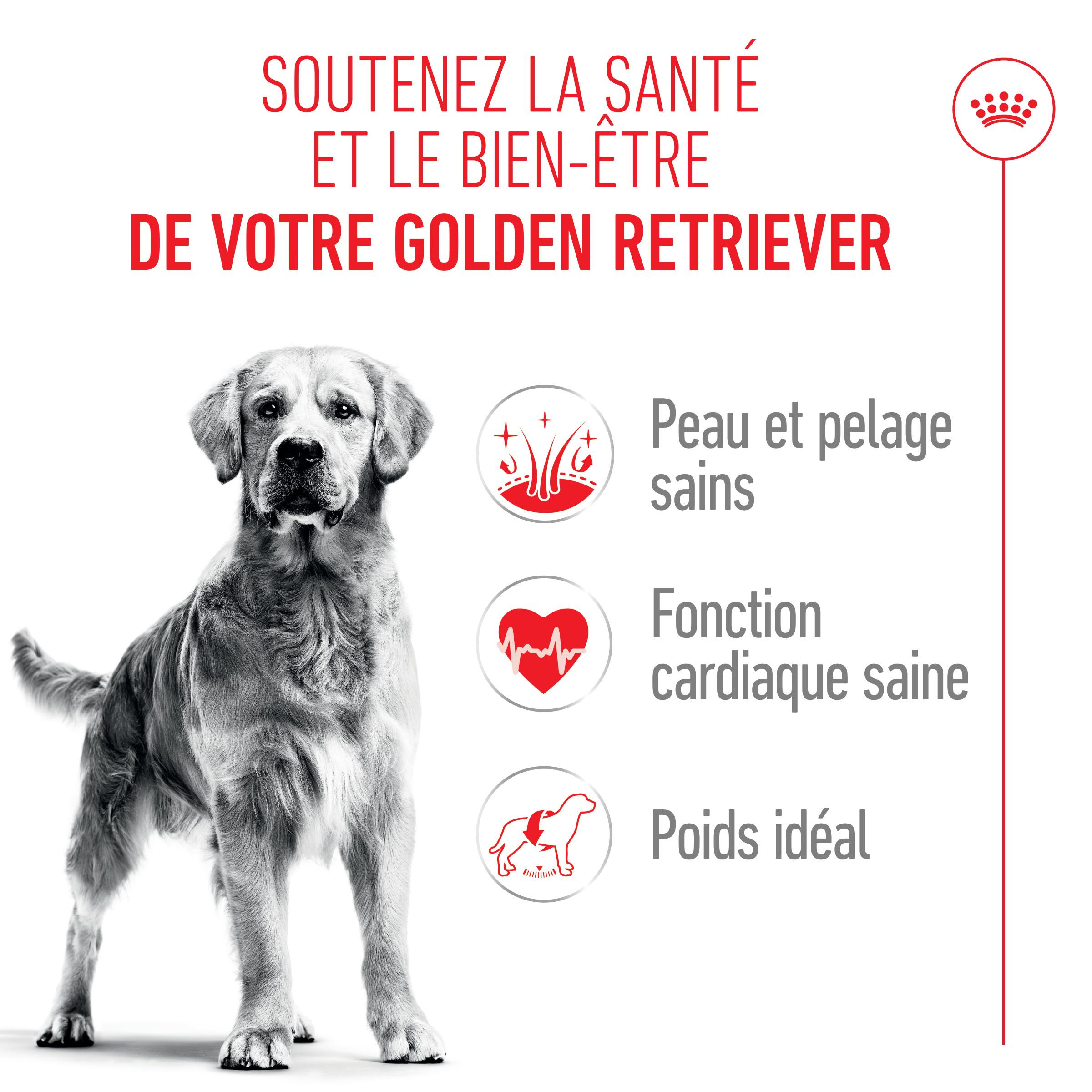 Royal Canin Adult Golden Retriever pour chien