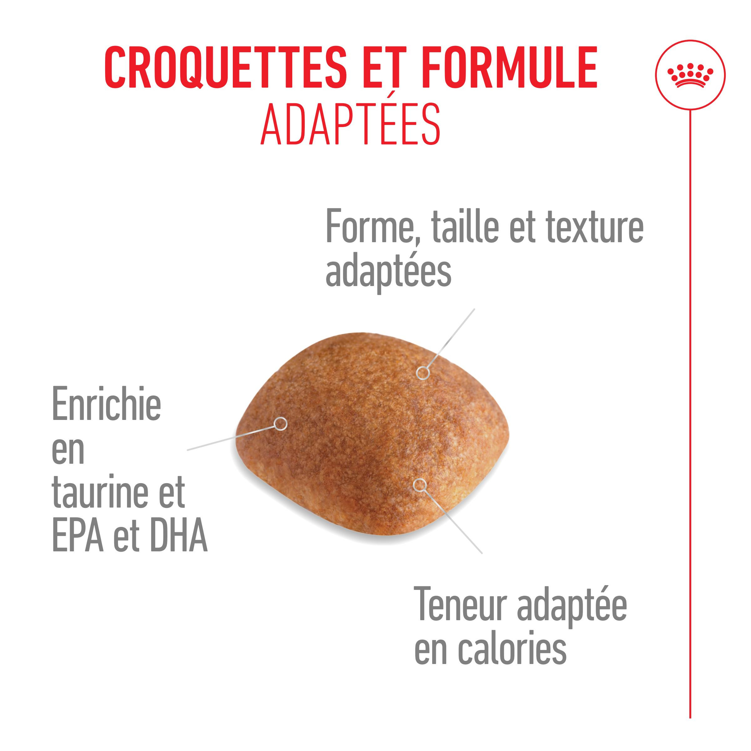 Royal Canin Adult Golden Retriever pour chien