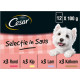 Cesar Adult Selection in Sauce Multipack Nassfutter Hund Beutel (100 g)