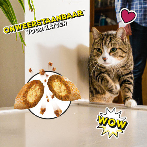 Catisfactions met rund kattensnack