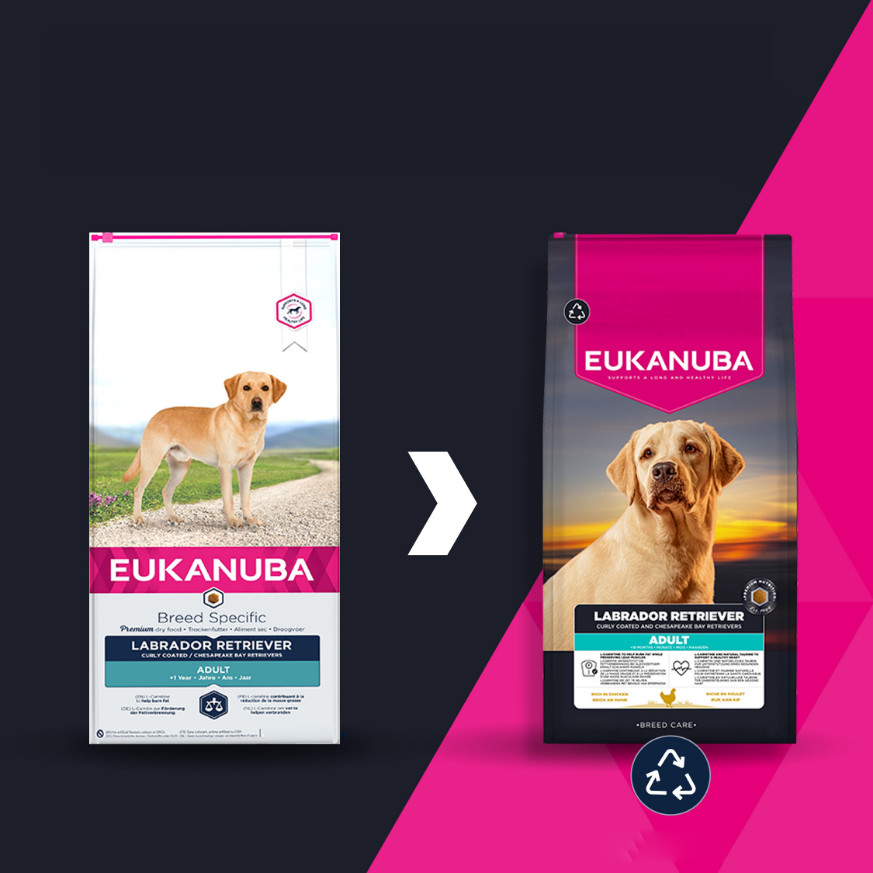 Eukanuba Breed Specific Labrador Retriever pour chien