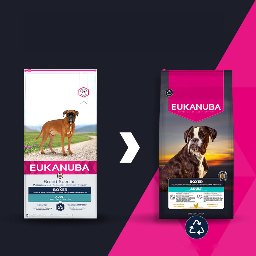 Eukanuba Breed Specific Boxer pour chien