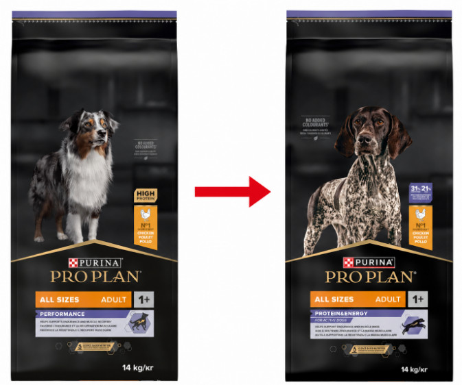 Pro Plan All Sizes Adult Protein & Energy mit Huhn Hundefutter