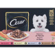 Cesar Adult Selection in Sauce Multipack Nassfutter Hund Beutel (100 g)