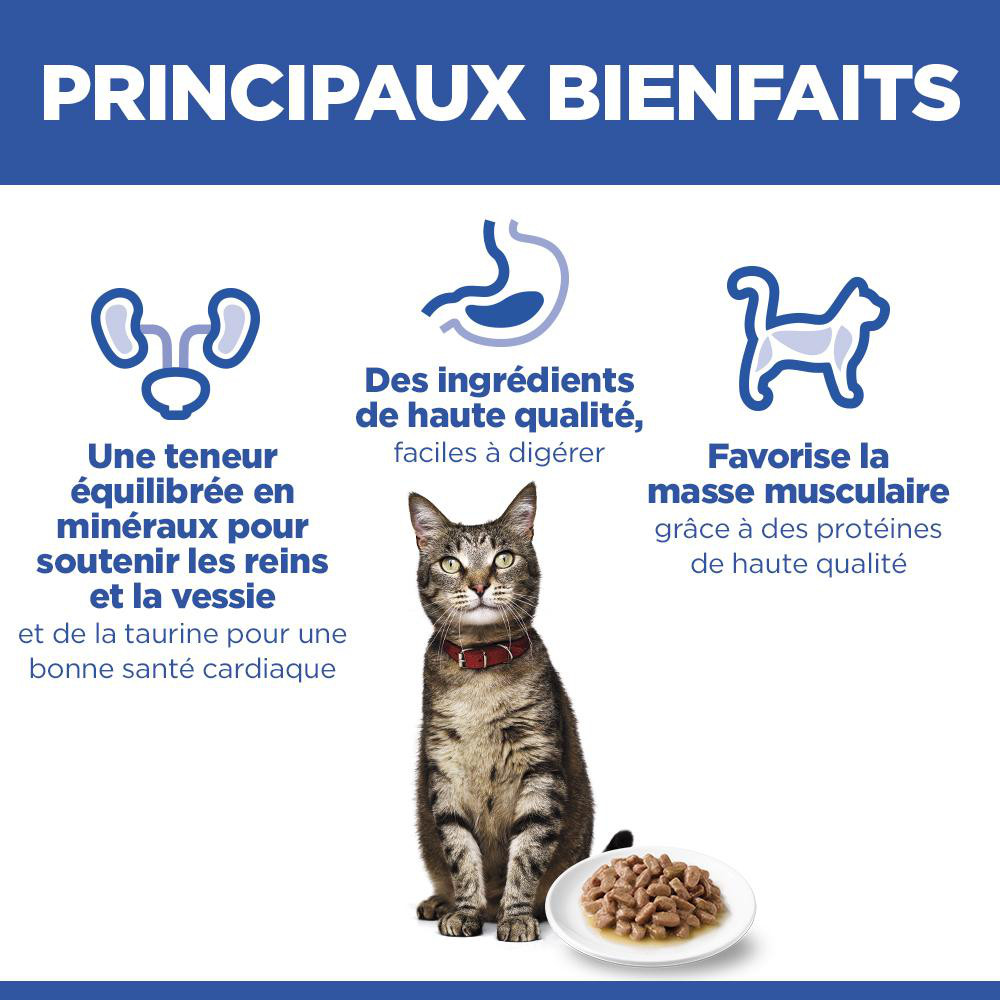 Hill's Adult nat kattenvoer met rund maaltijdzakje multipack