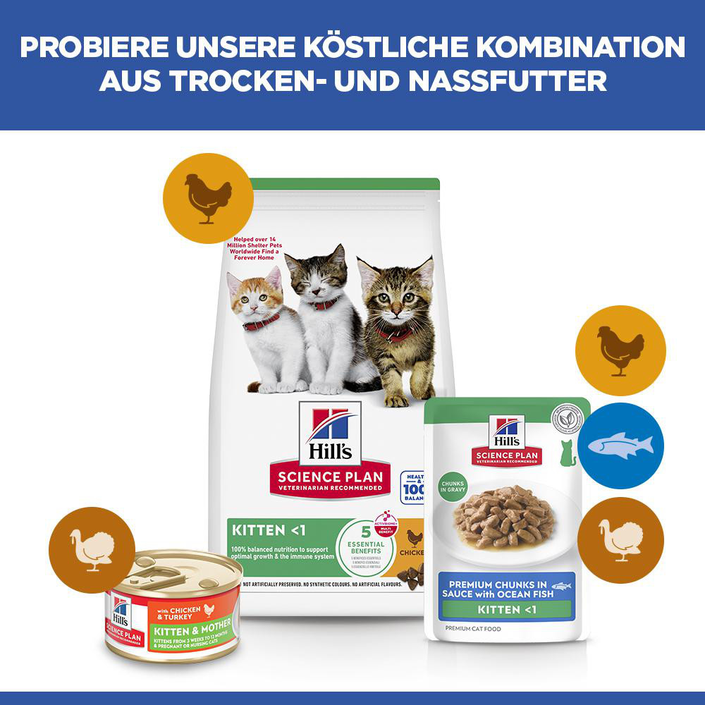 Hill's Kitten nat kattenvoer met zeevis maaltijdzakje multipack