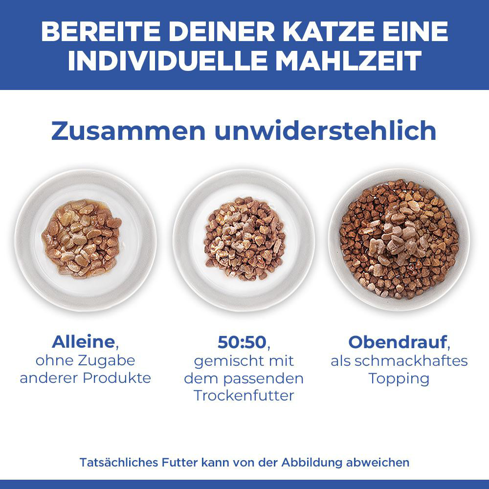 Hill's Kitten nat kattenvoer met zeevis maaltijdzakje multipack