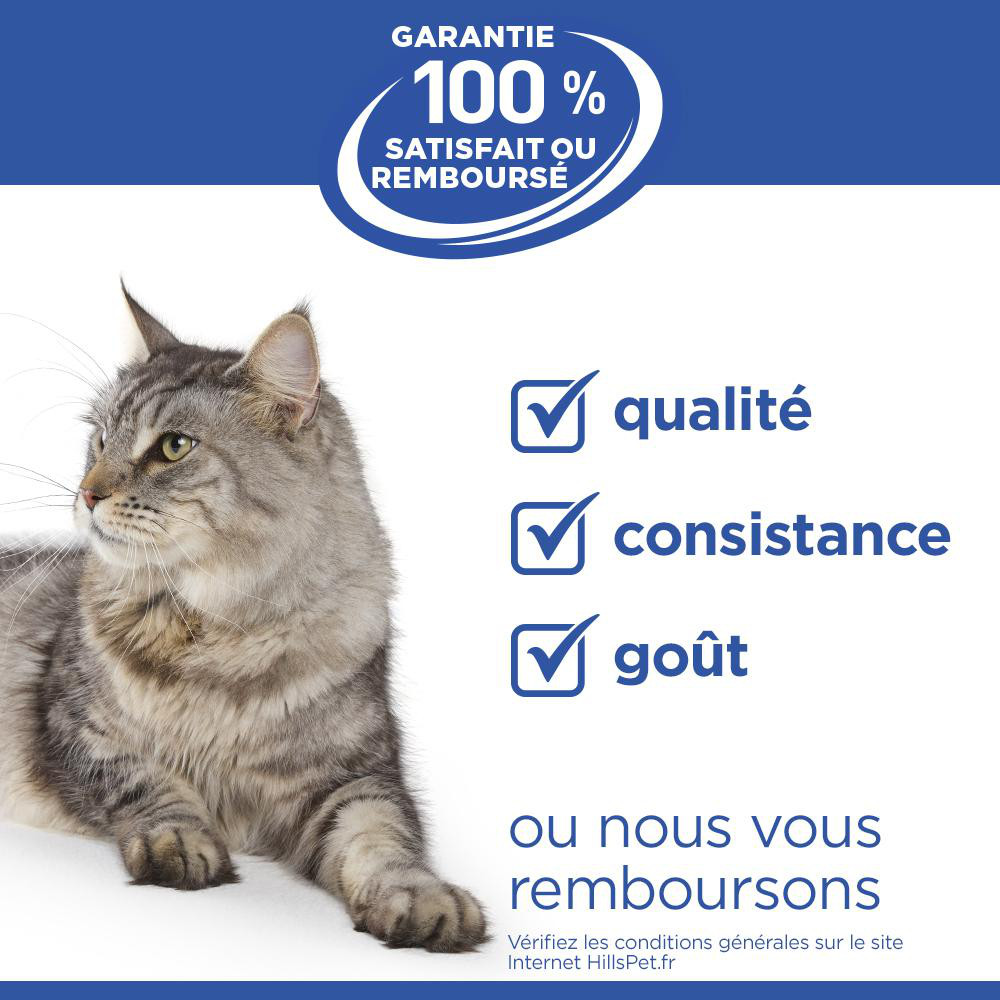 Hill's Kitten nat kattenvoer met zeevis maaltijdzakje multipack