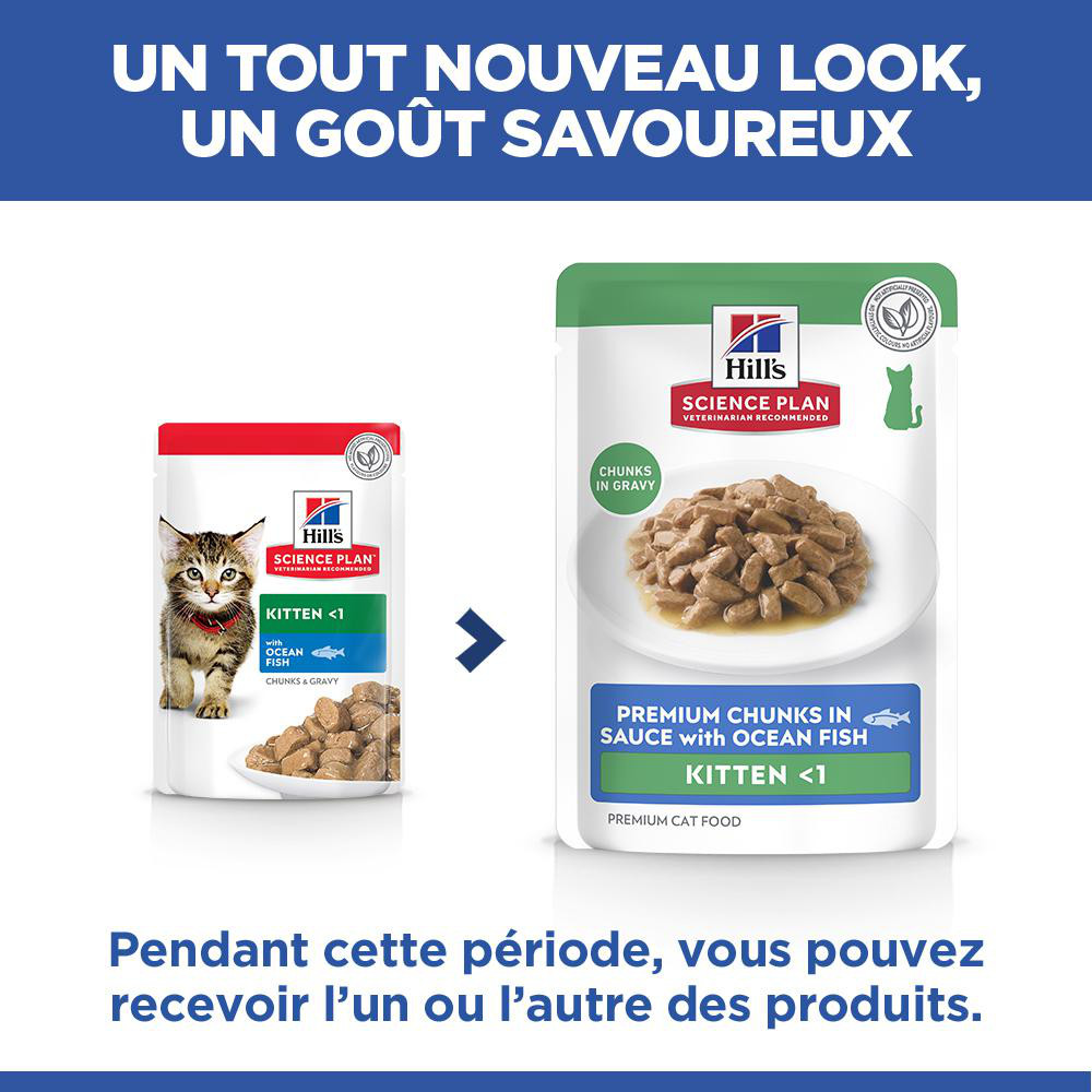 Hill's Kitten nat kattenvoer met zeevis maaltijdzakje multipack