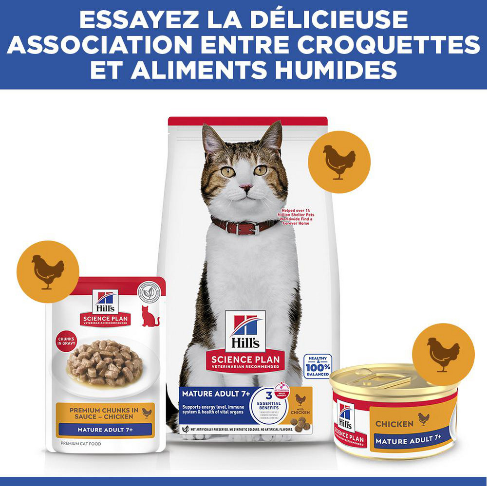 Hill's Mature Adult au saumon pâtée pour chat (mousse, boîte)