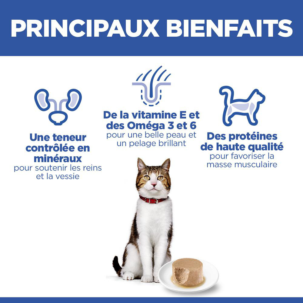 Hill's Mature Adult au saumon pâtée pour chat (mousse, boîte)
