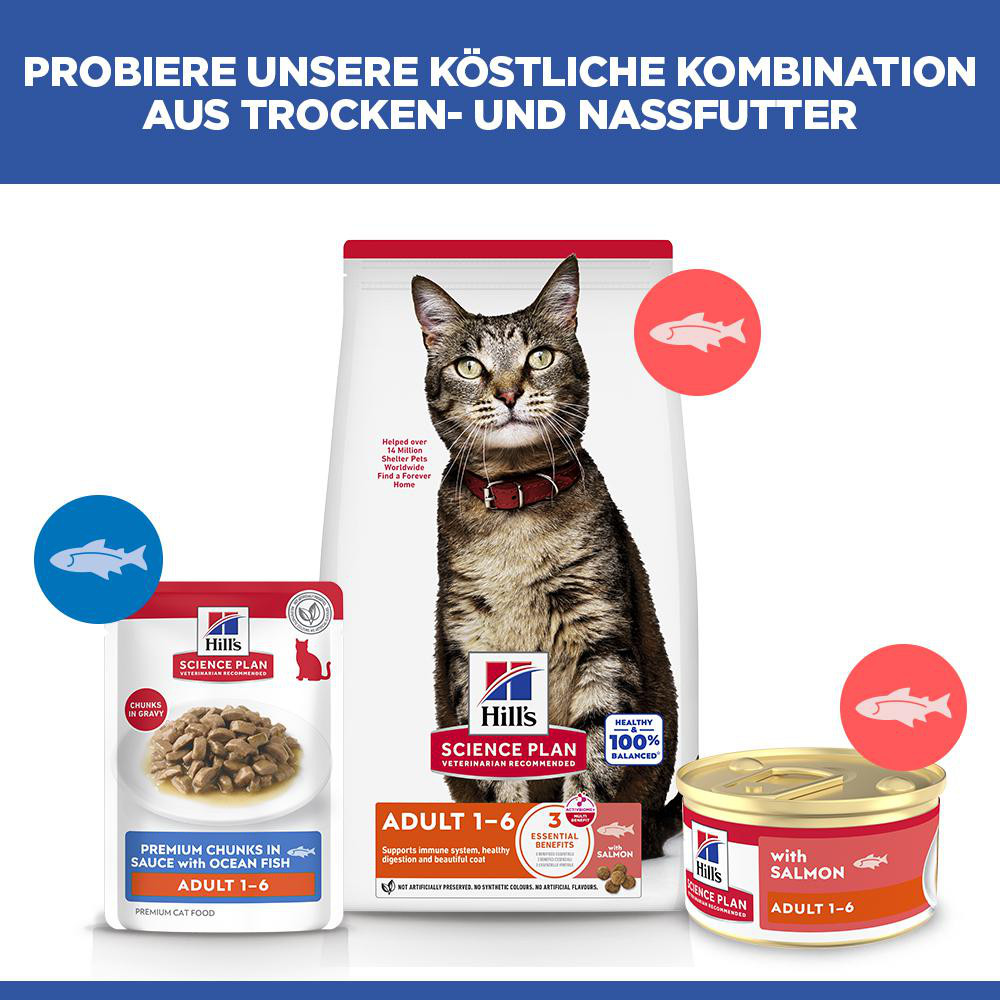 Hill's Adult mit Lachs Katzen-Nassfutter (Mousse, Dose)