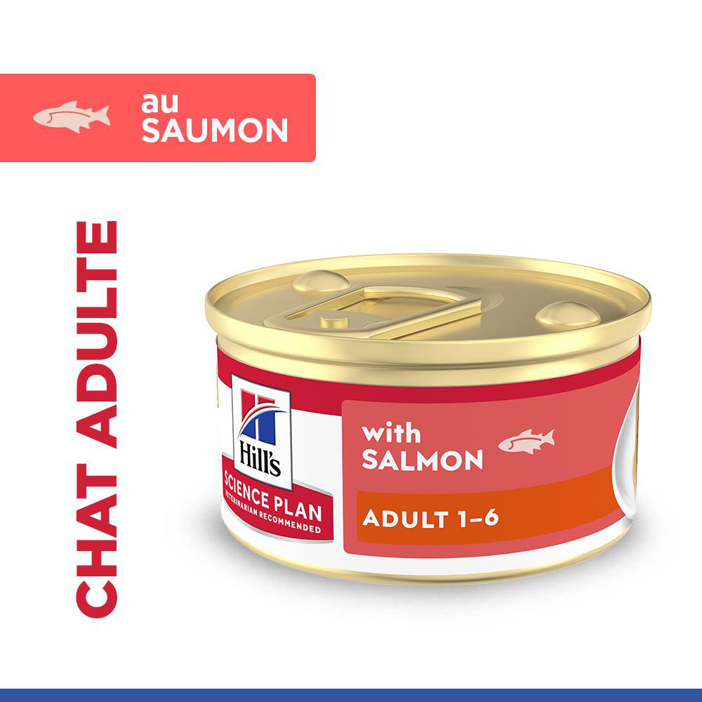 Hill's Adult au saumon pâtée pour chat (mousse, boîte)