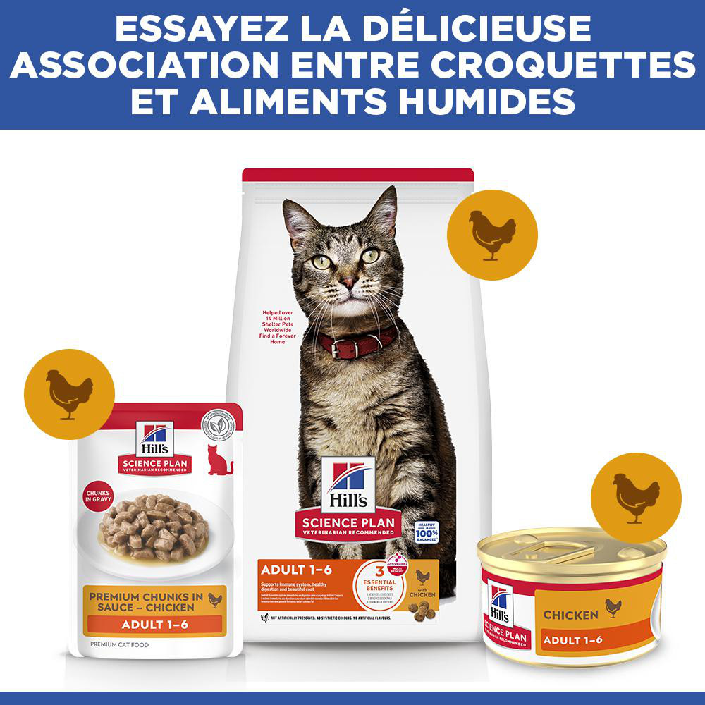 Hill's Adult au poulet pâtée pour chat (mousse, boîte)