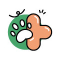 Immunsystem Katze