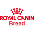 Royal Canin Race pour chien