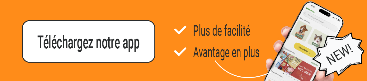 t&eacute;l&eacute;chargez l'appli brekz ici